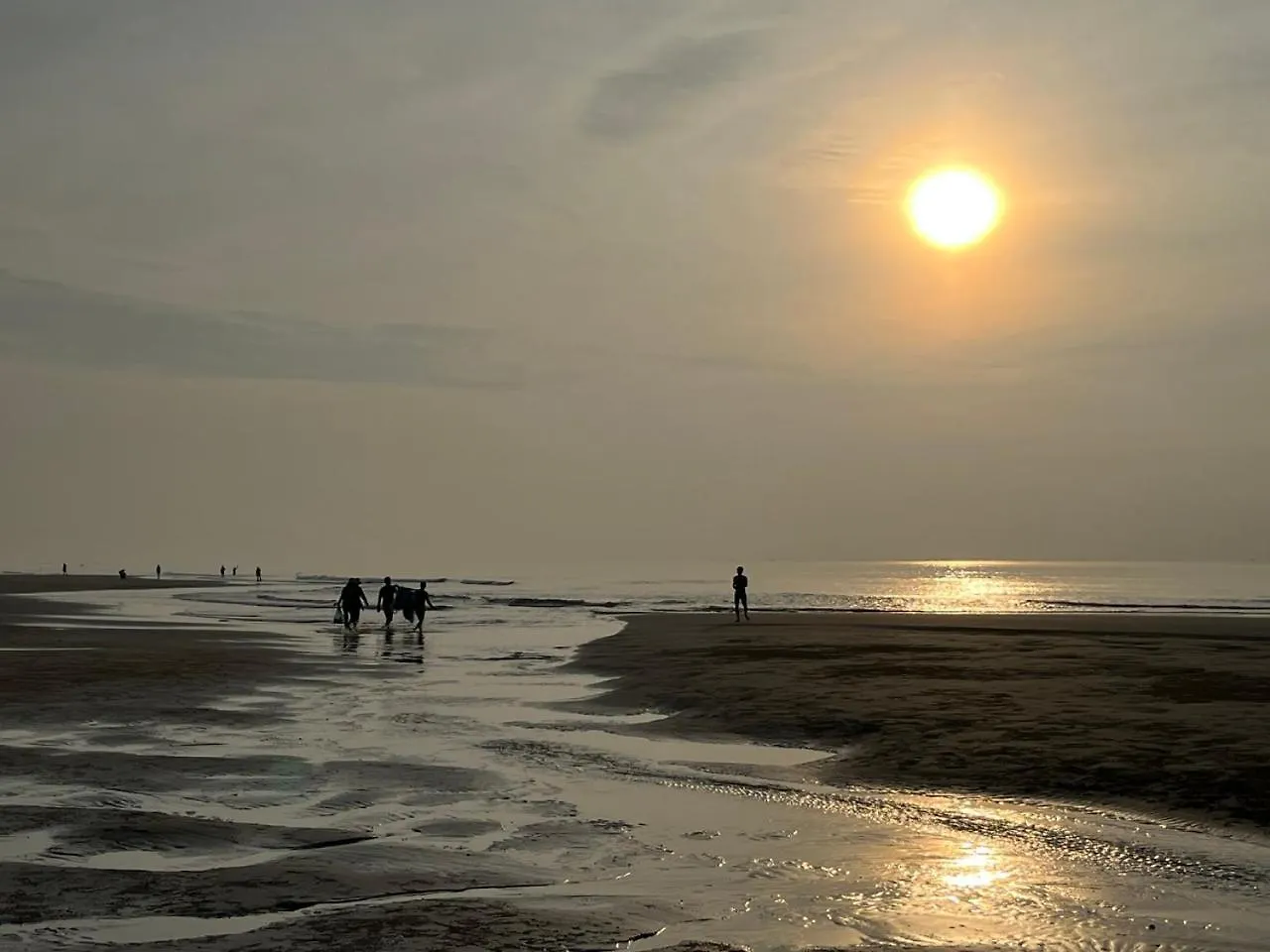 Aria Resort- Can Ho Nghi Duong Tang 8 Huong Bien, Ho Boi Sat Canh Bai Tam Rieng Vung Tau 0*,  Vietnam
